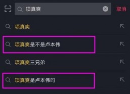 娱乐吃瓜微信语音,吃瓜群众语音曝光，明星幕后故事大揭秘