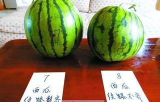 官方瓜圈入口,一站式体验，畅享娱乐盛宴